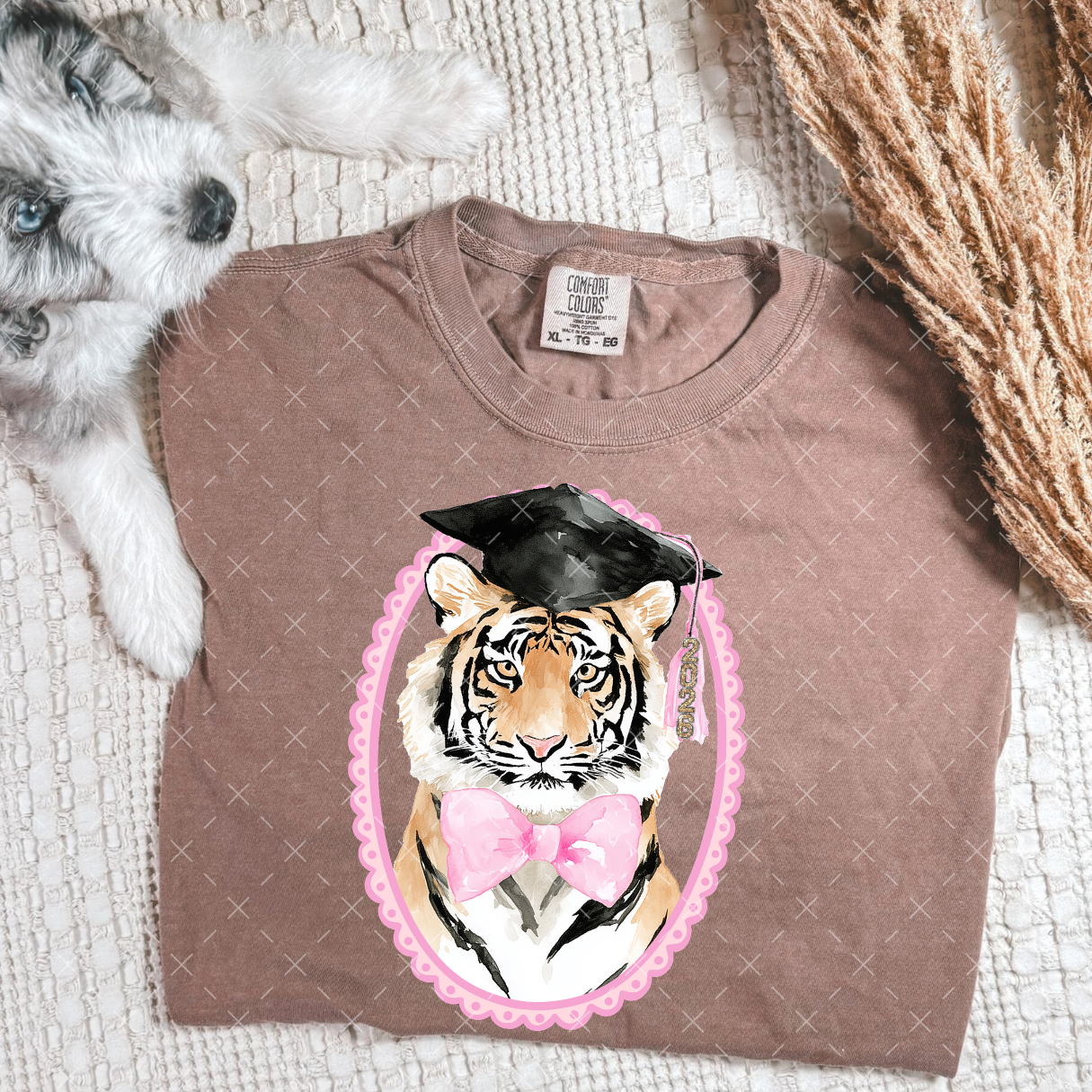 Graduation Tiger - TRANSFER (Kayndi)