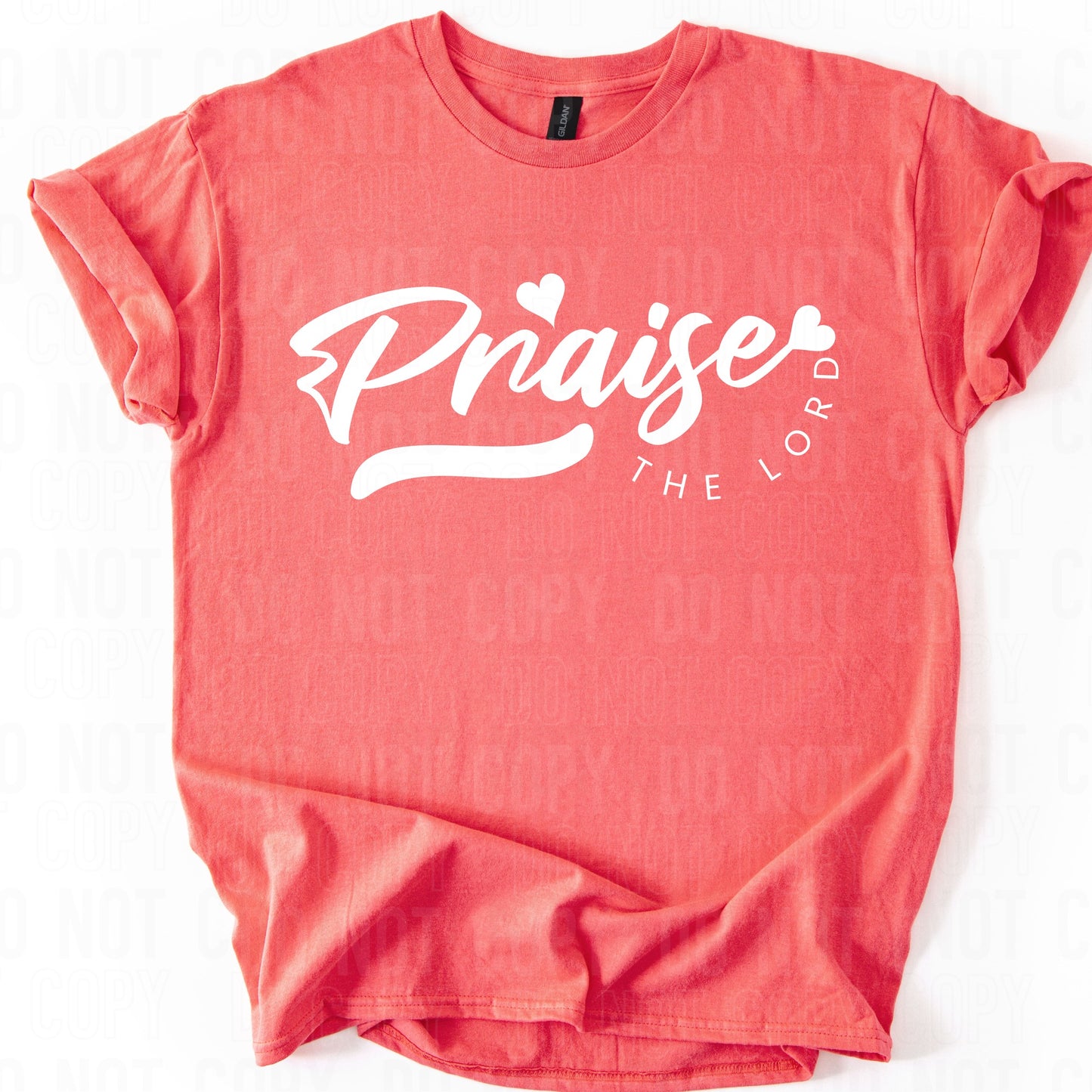 Praise The Lord / Whiteink - TRANSFERS (SBB)