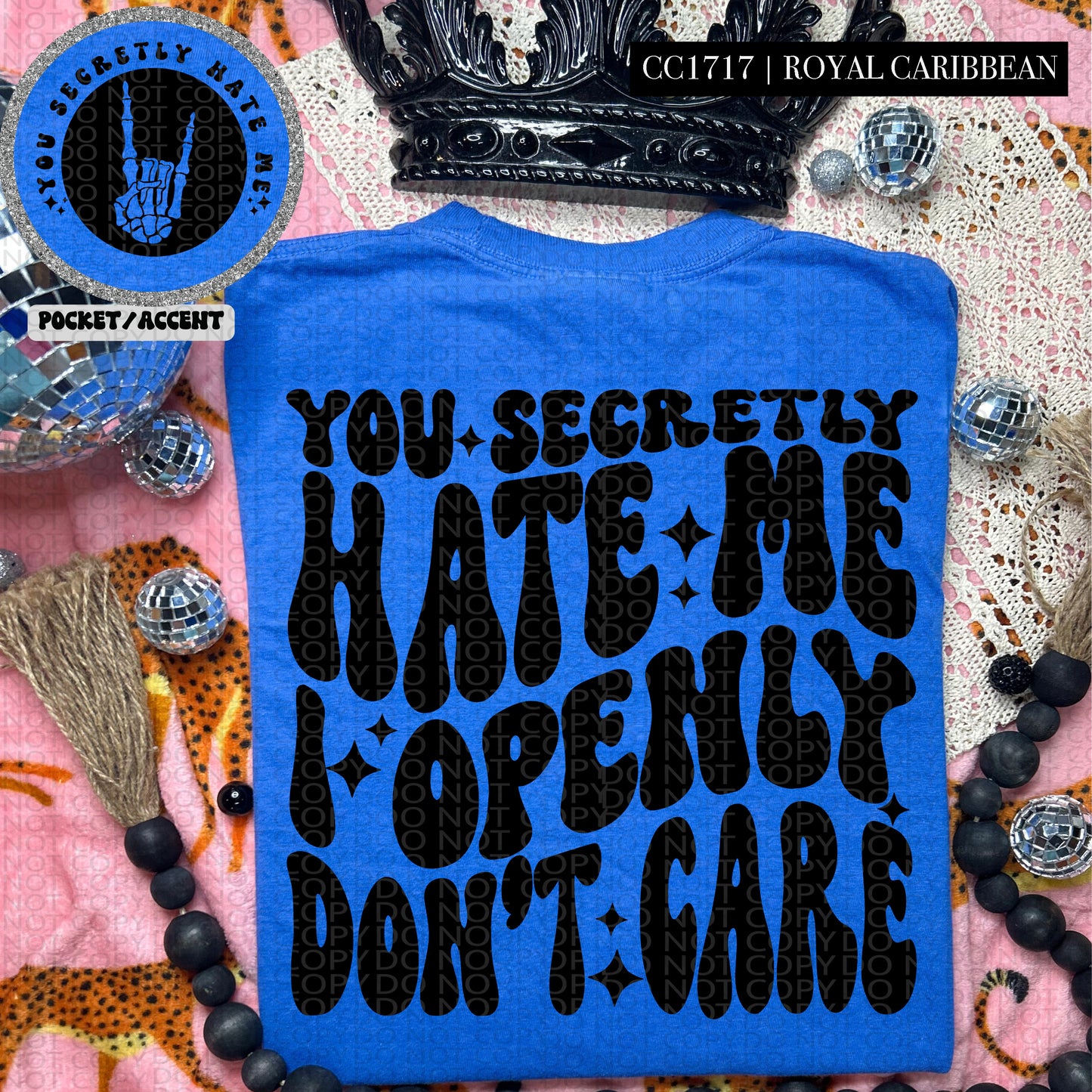 You Secretly Hate Me I Openly Don't Care - Transfer (HW)