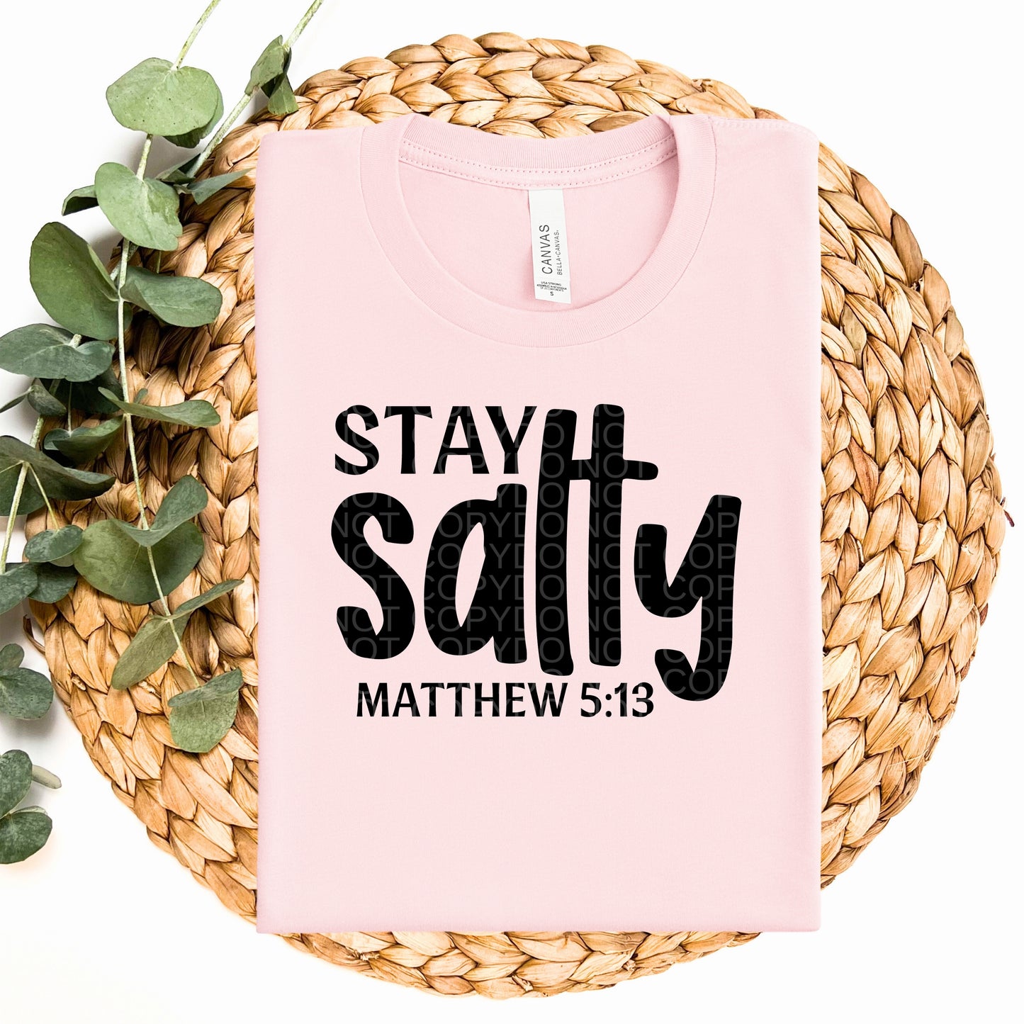 Stay Salty Matthew 5:13 - TRANSFERS (CF)