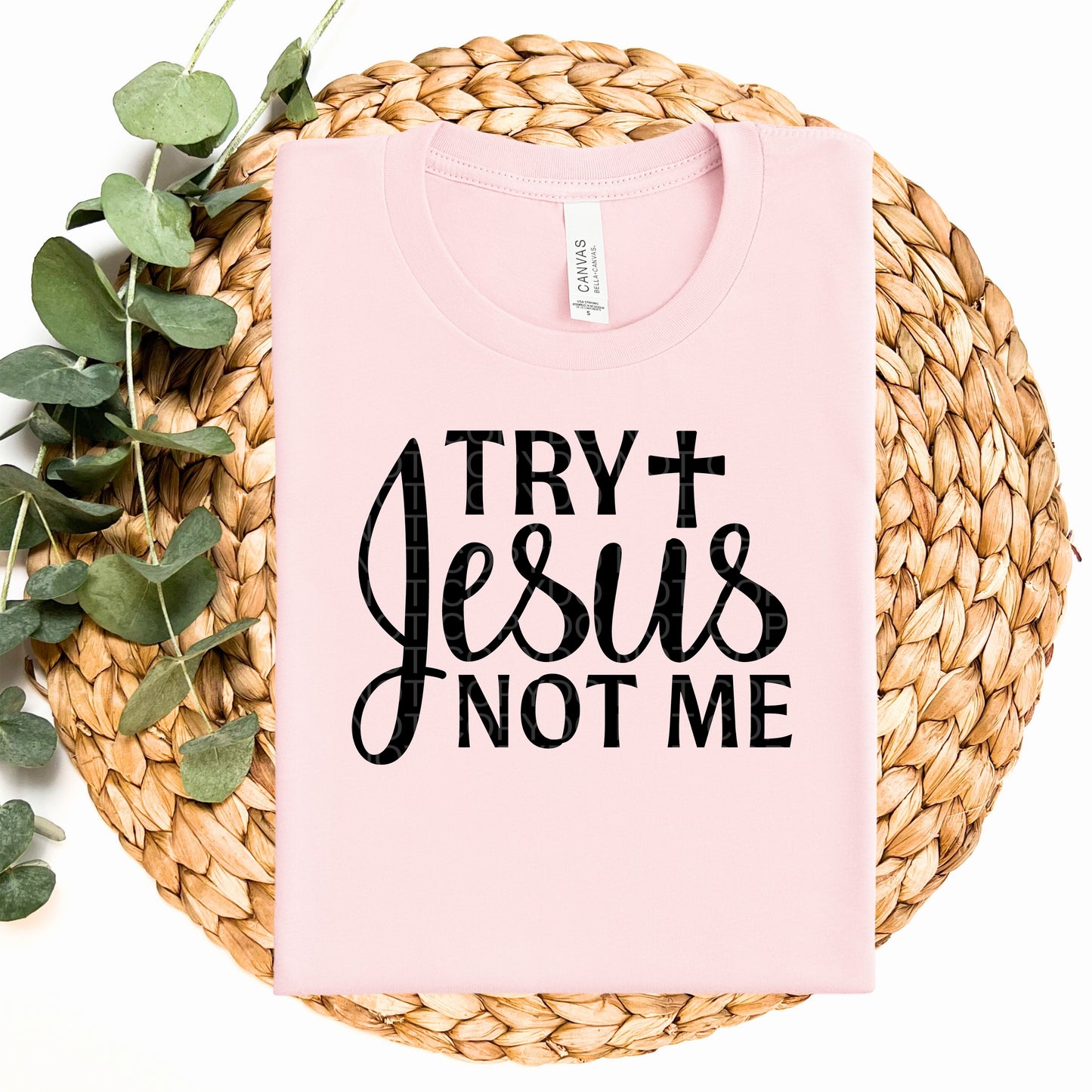 Try Jesus Not Me - TRANSFERS (CF)