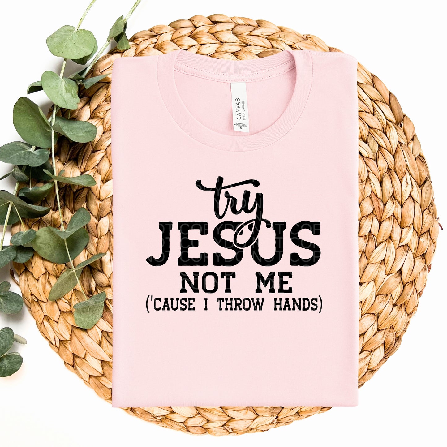 Try Jesus Not Me (Cause I Throw Hands) - TRANSFERS (CF)