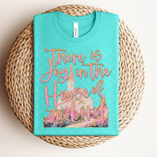 There Is Joy In The House  -   TRANSFER (Kayndi)