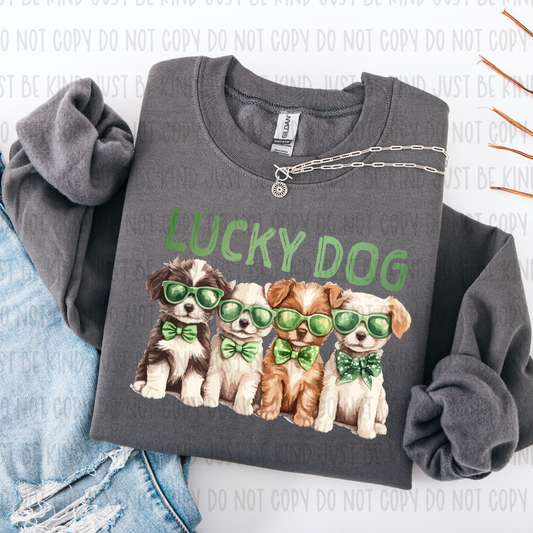 Lucky Dog  - TRANSFERS (KPI)