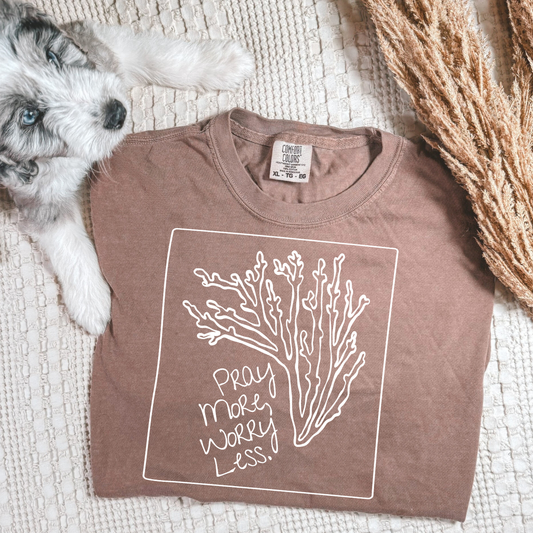 Pray More Worry Less / White - TRANSFER (OHDD)