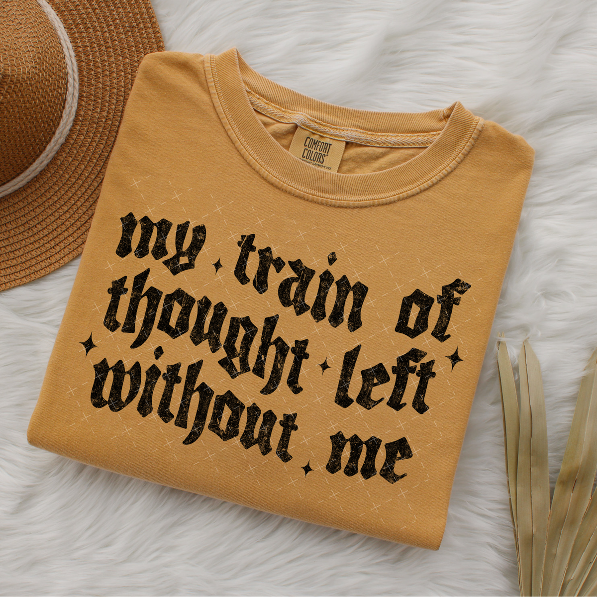 My Train Of Thought Left Without Me - Transfers (S)