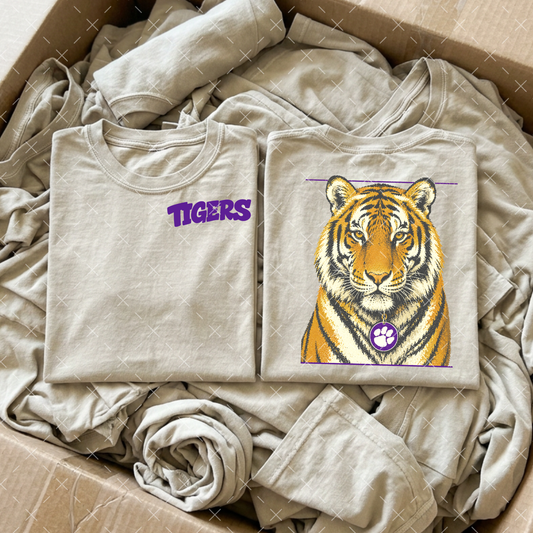 LSU - Transfer (CS)