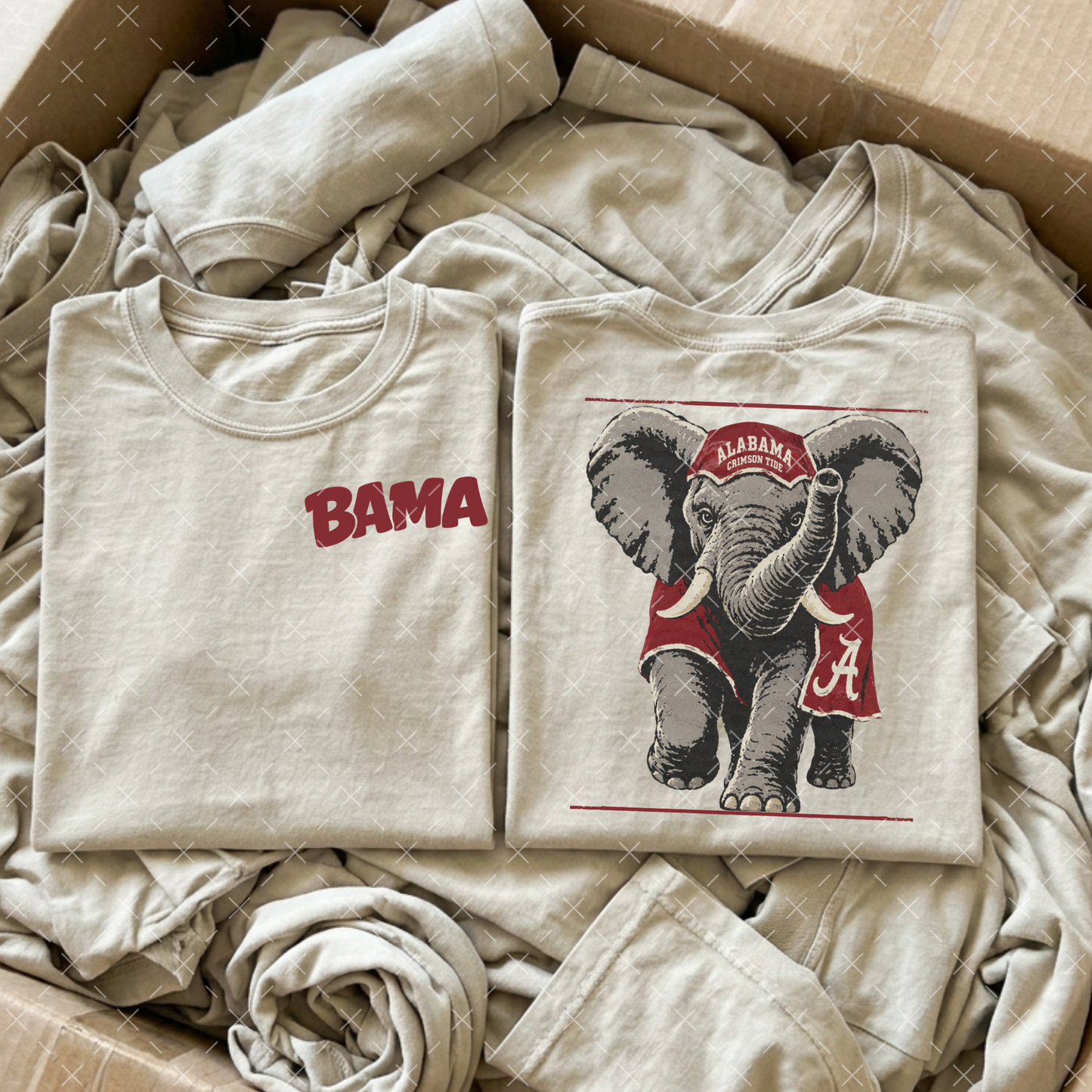 Bama - Transfer (CS)