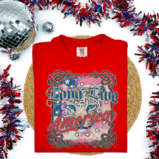 Love Live America -   TRANSFERS (Kayndi)