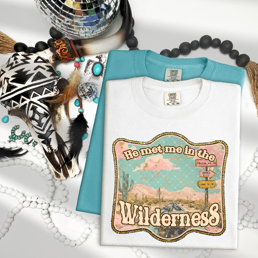 He Met Me In The Wilderness -   TRANSFERS (Kayndi)