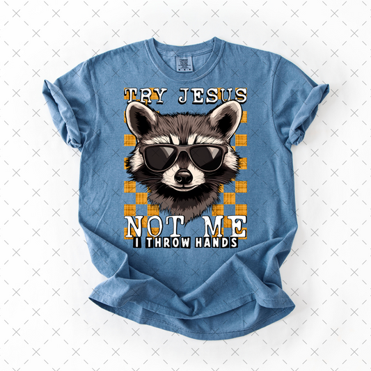 Try Jesus Not Me -  TRANSFERS (CST)