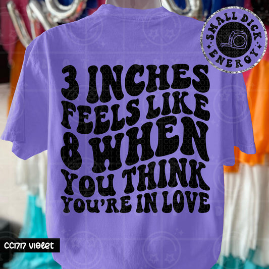 3 Inches Feels Like 8 When You Think You're In Love - Transfer (HW)