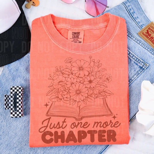 Just One More Chapter -  TRANSFERS (SBB)