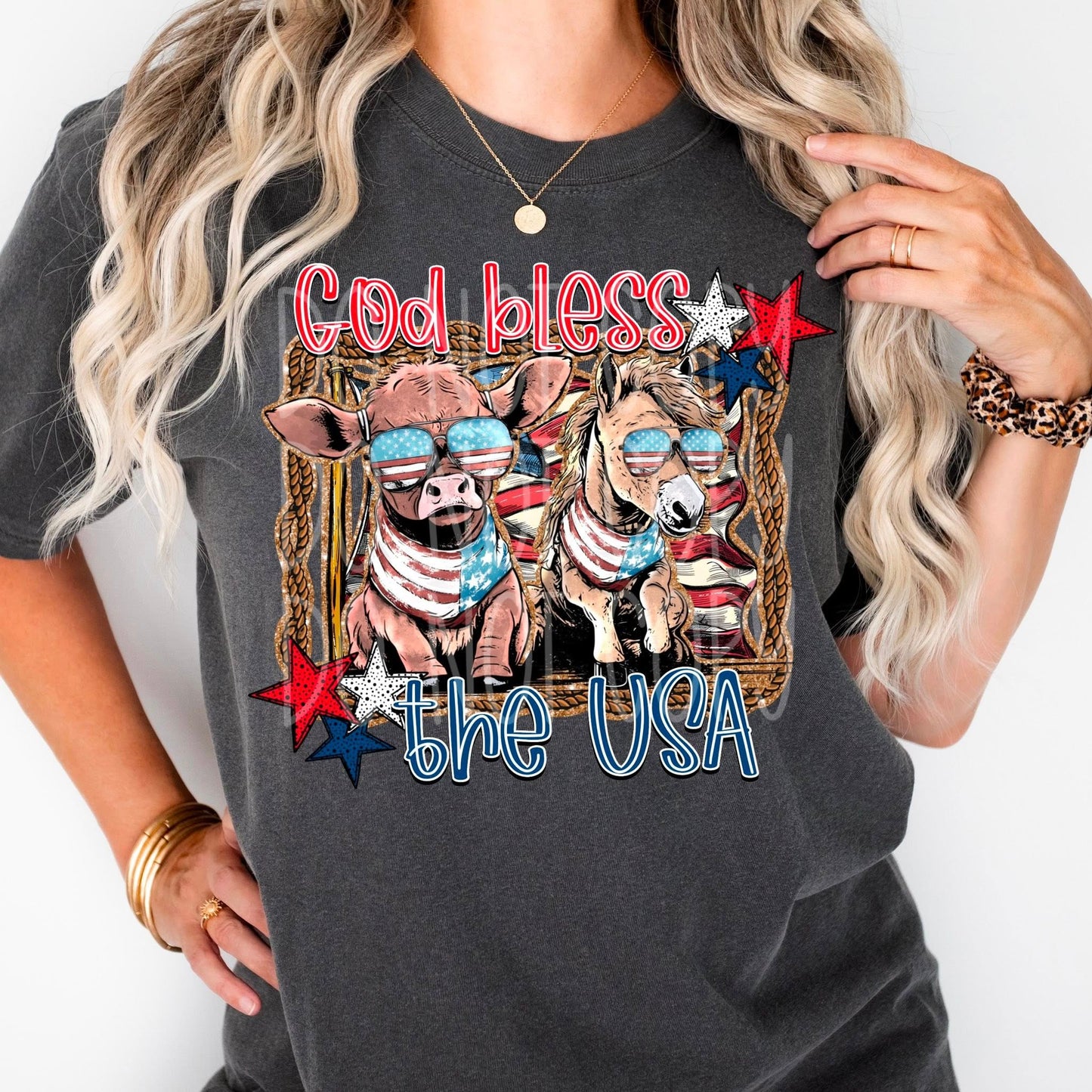 God Bless The USA -  TRANSFER (FDCD)