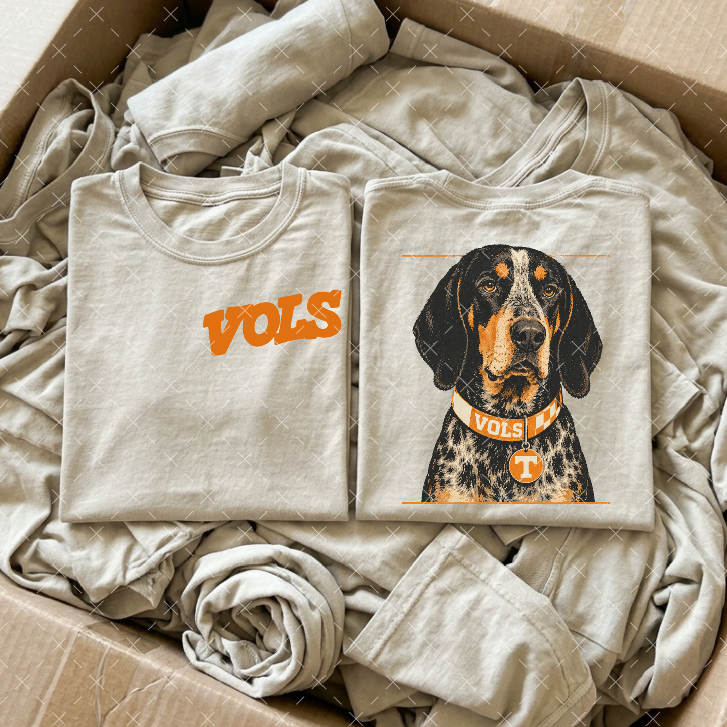 Vols - Transfer (CS)