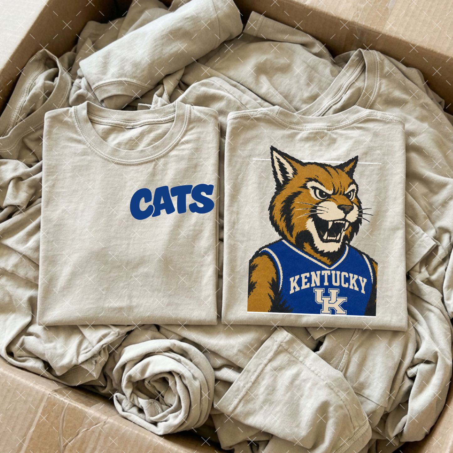 Cats - Transfer (CS)