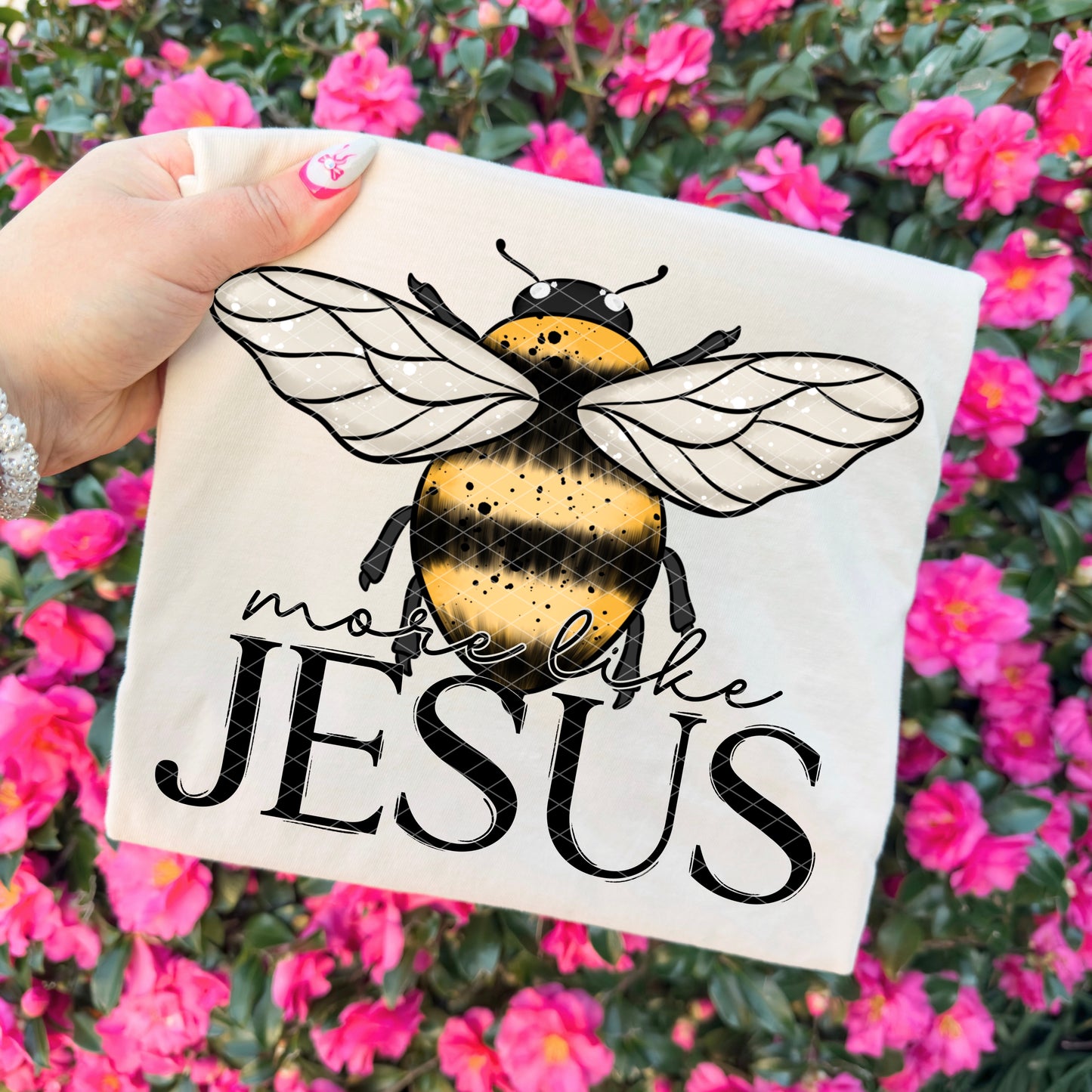 More Like Jesus -  TRANSFER (SDD)