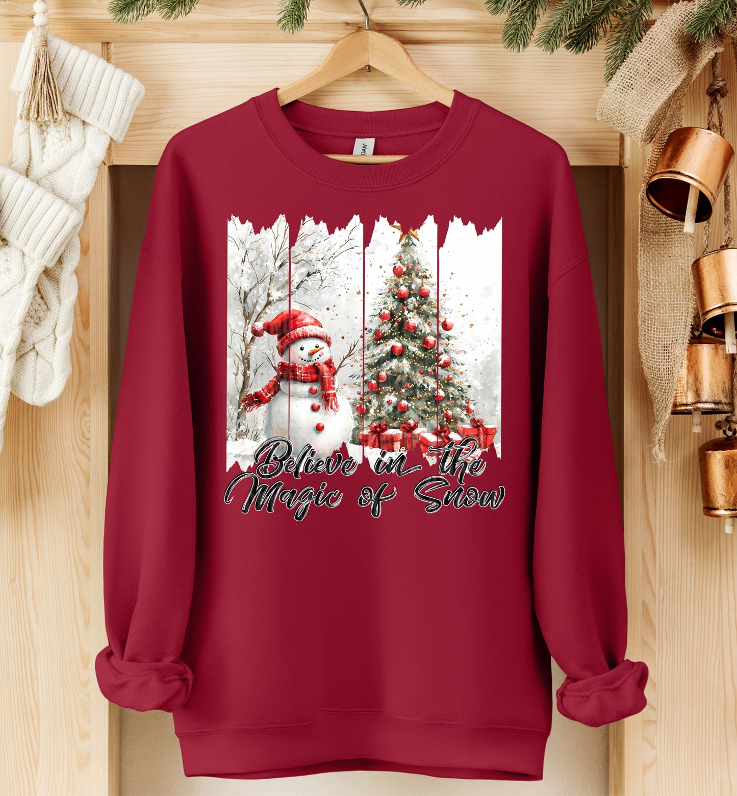 Believe In The Magic Of Snow - TRANSFER (SDD)