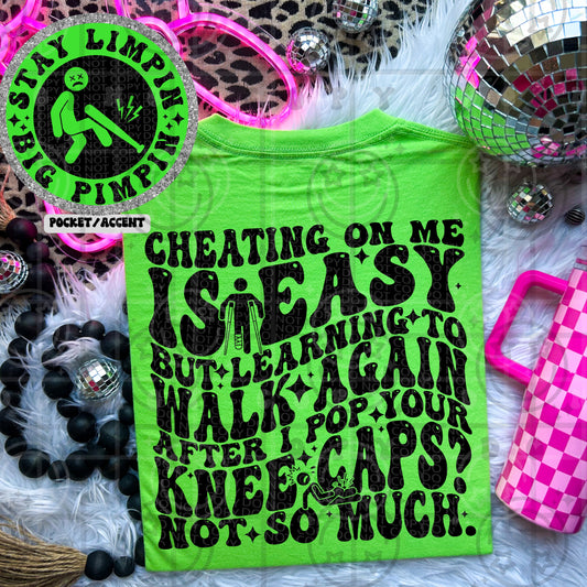 Cheating On Is Easy - Transfer (HW)