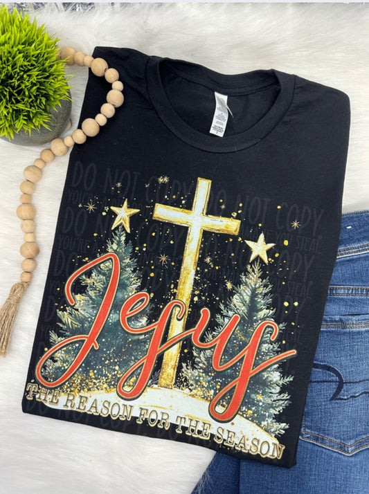 Jesus is the reason -COMPLETED TEE