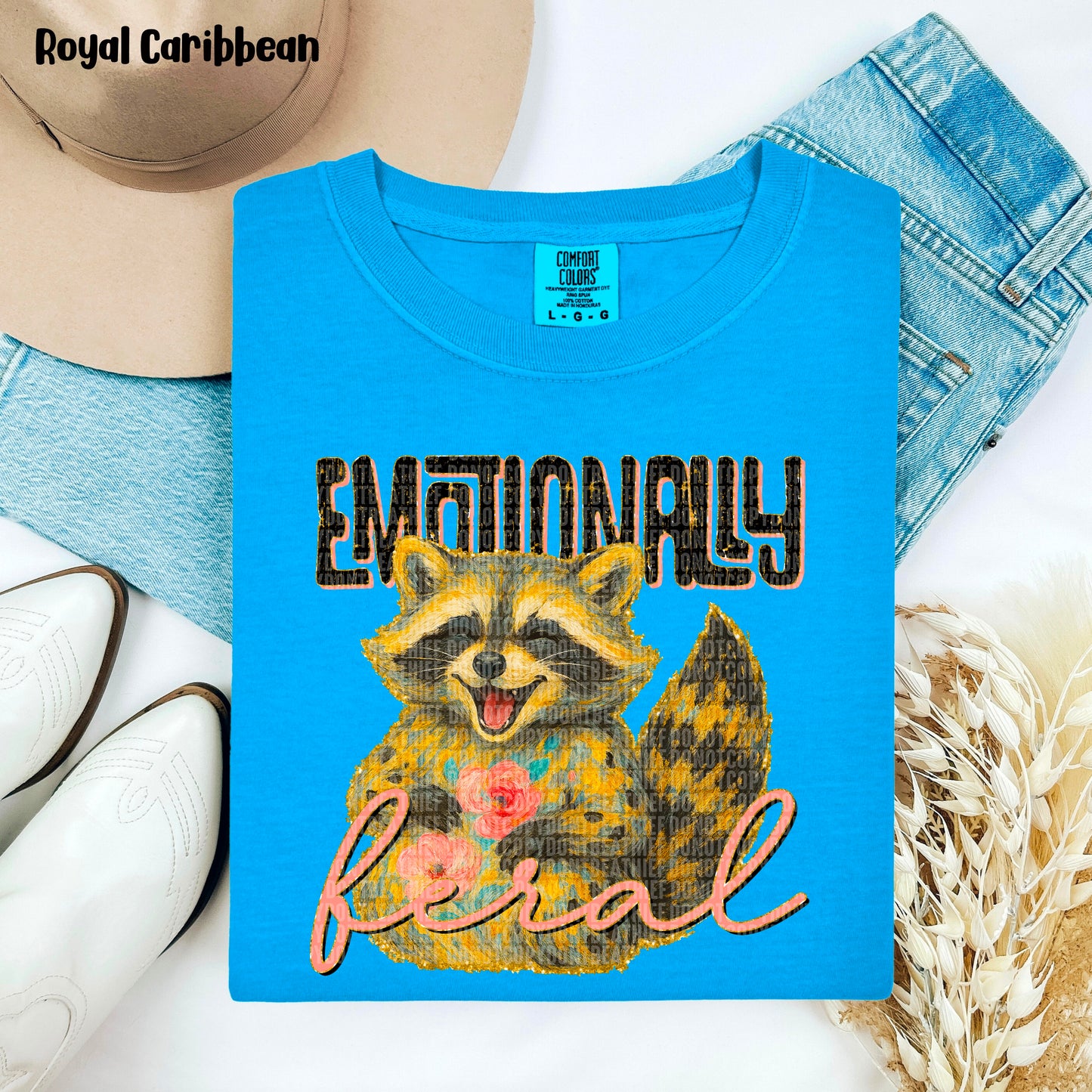 Emotionally Feral  -   TRANSFERS (SDD)