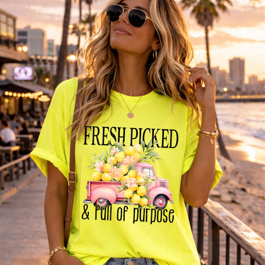 Freshed Picked - TRANSFER (SDD)