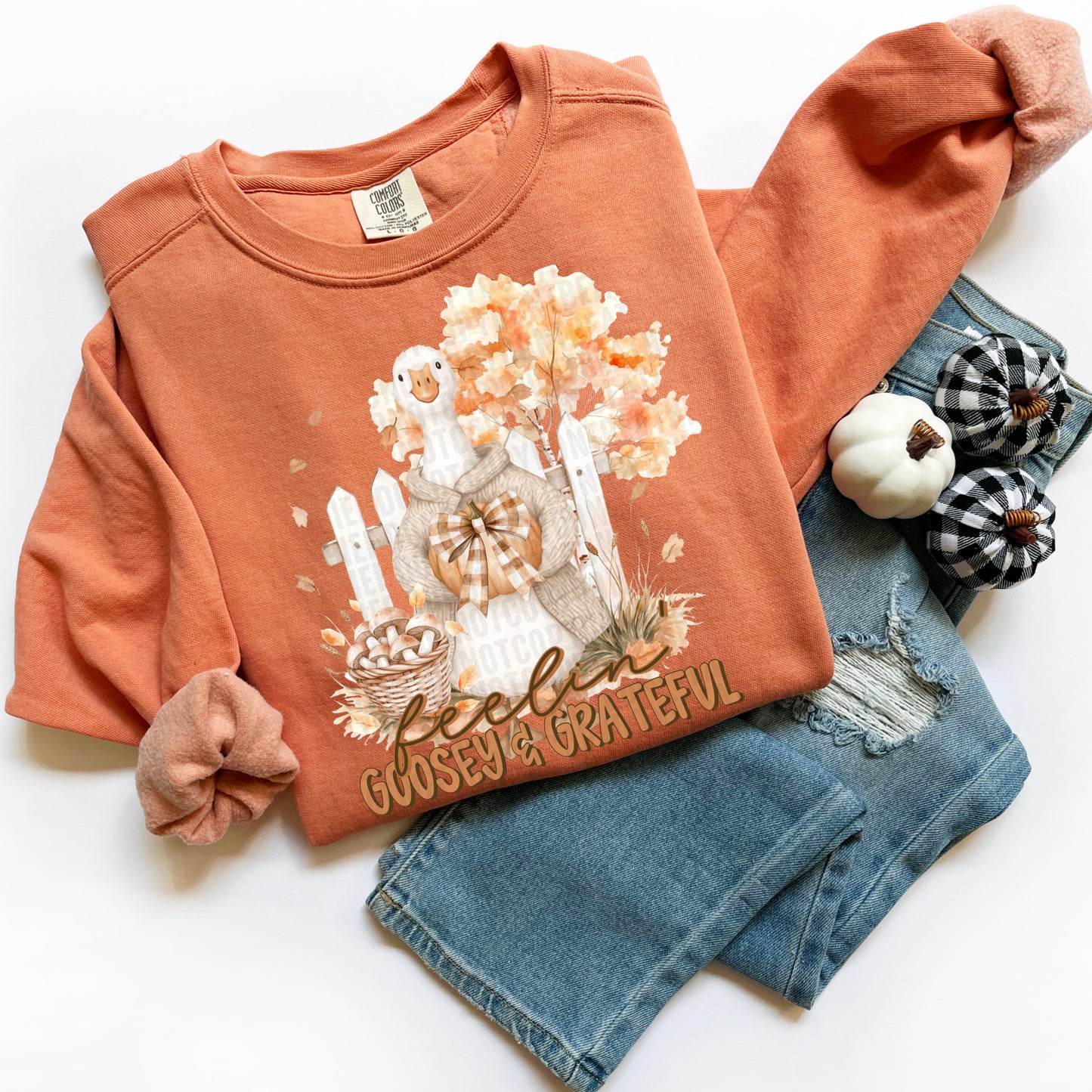 Feelin Goosey & Grateful -  TRANSFER (SDD)