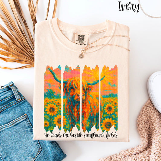 He Leads Me Beside Sunflowers - TRANSFERS (SDD)