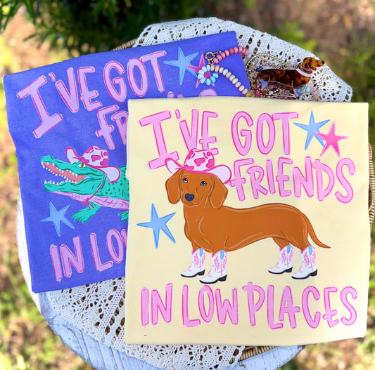 I've Got Friends In Low Places DOG- TRANSFER (CC)
