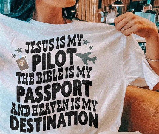 Jesus is My Pilot -   TRANSFERS (EMD)
