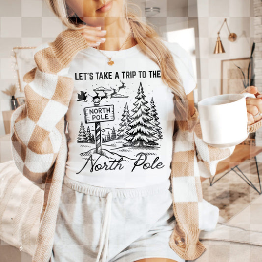 Let's Take A Trip To The North Pole - TRANSFER (LD)