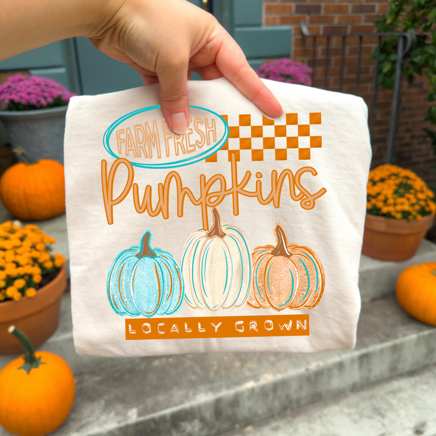Farm Fresh Pumpkins - Transfers (CSC)