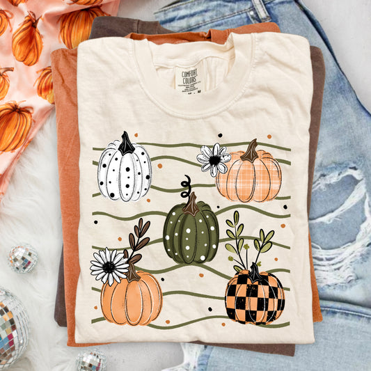 Fall Pumpkins - Transfers (CSC)