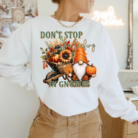 Don't Stop Be Leafing In Gnomes - Transfers (DD)
