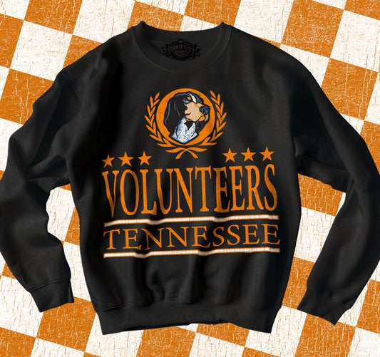 Volunteers -  TRANSFER (KPI)