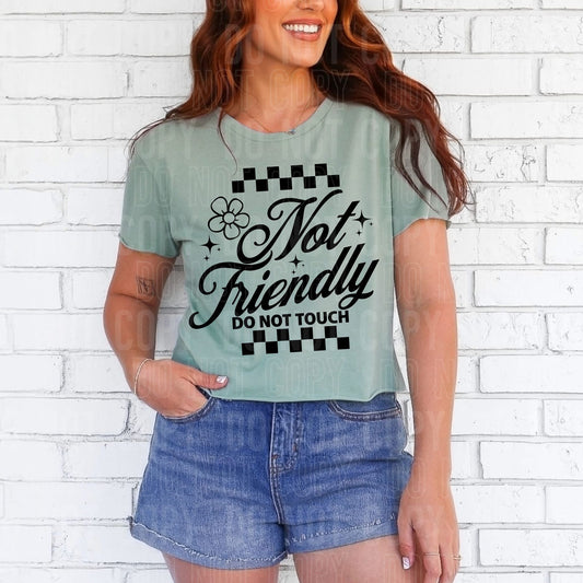 Not Friendly   -   TRANSFER (SBB)