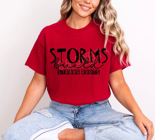 Storms Build - TRANSFER (CST)