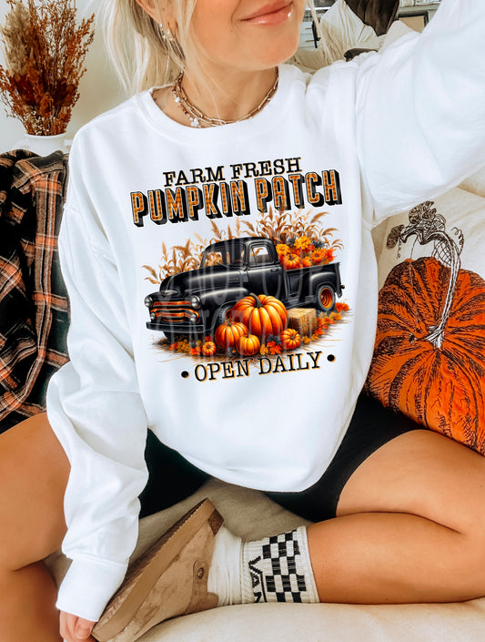 Pumpkin Patch -  Transfers (DD)
