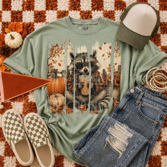 Fall Coon - Transfers (SBB)