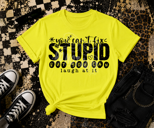 You Can't Fix Stupid - TRANSFER (CST)
