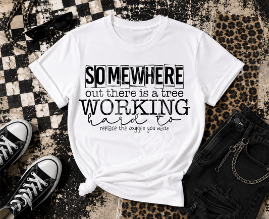 Somewhere Out There - TRANSFER (CST)