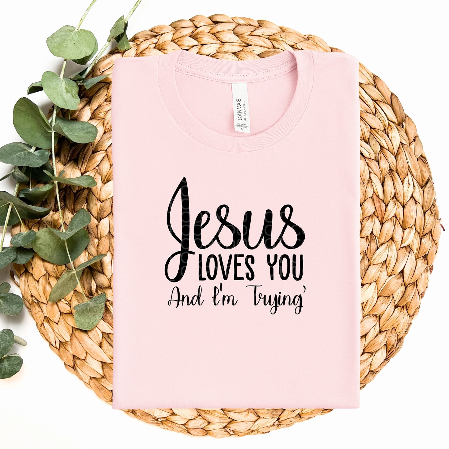 Jesus Loves You and I'm Trying  - TRANSFERS (CF)