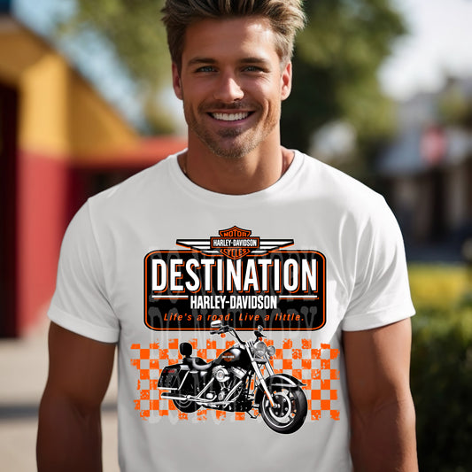 Destination -  Transfers (DD)