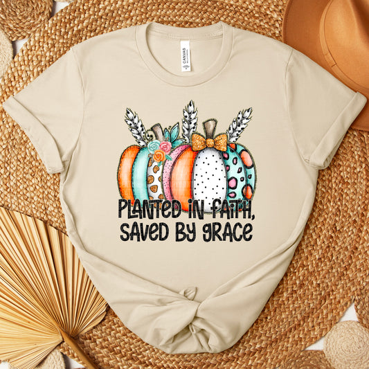 Planted In Faith -  TRANSFER (SDD)