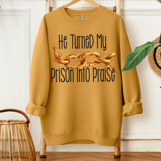 He Turned My Prison Into Praise -  TRANSFER (SDD)