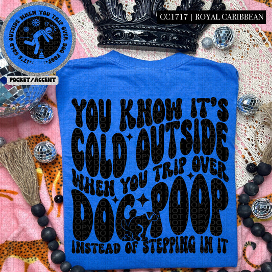 You Know It's Cold Outside When You Trip Over Dog Poop - Transfer (HW)