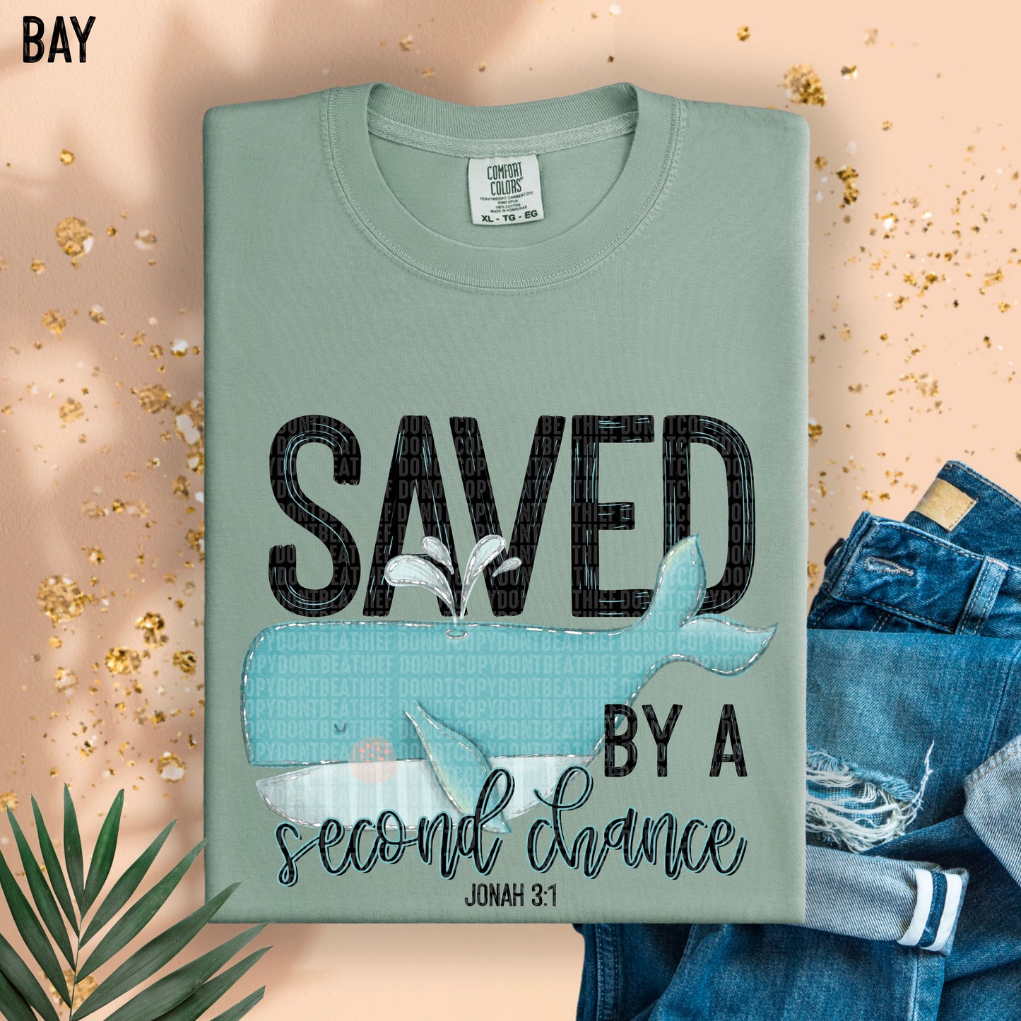 Saved By A Second Chance -  TRANSFERS (SDD)
