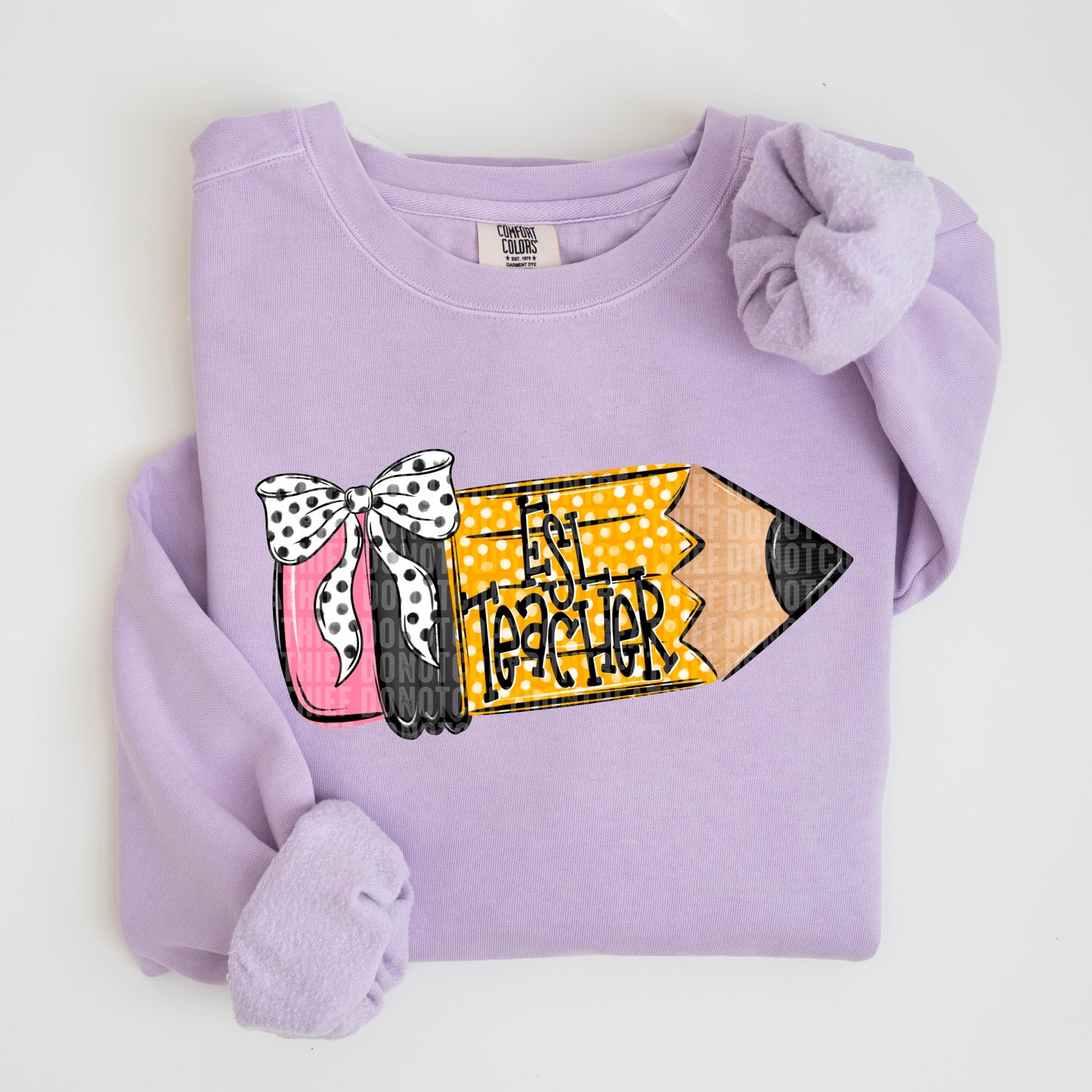 ESL Teacher -  TRANSFER (SDD)