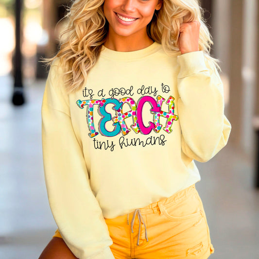 It's A Good Day To Teach Tiny Humans  -  TRANSFERS (SDD)