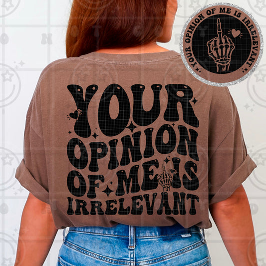 Your Opinion - Transfer (HW)